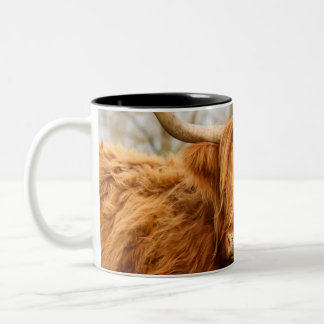 Highland cow Two Tone Mug