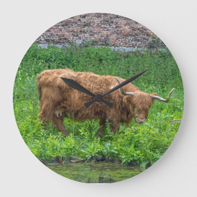 Highland cow wall clock (Front)