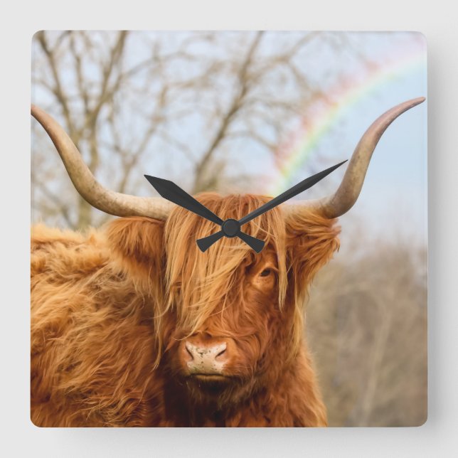Highland cow wall clock (Front)