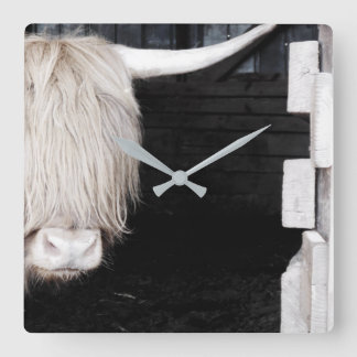 Highland Cow Wall Clock, 10.75" Square Acrylic Clock