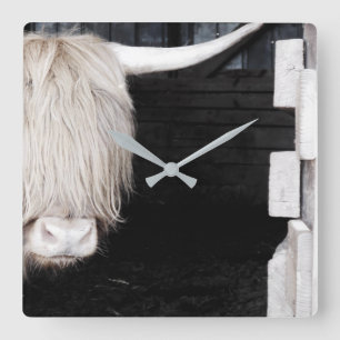 Highland Cow Wall Clock, 10.75" Square Acrylic Square Wall Clock