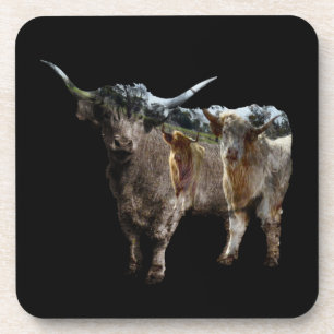 Highland Cow With Inverted Cows Image,  Coaster