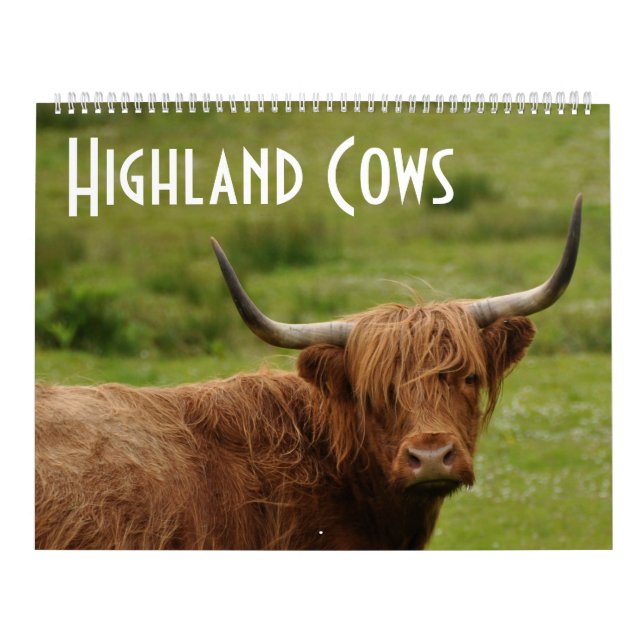 Highland Cows - 12 Months of Highland Cattle - Calendar (Cover)