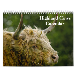 Highland Cows 2025 Calendar