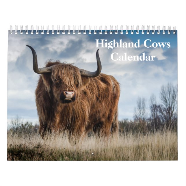 Highland Cows 2026 Calendar (Cover)