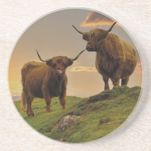 Highland Cows At Sunset Coaster (Front)