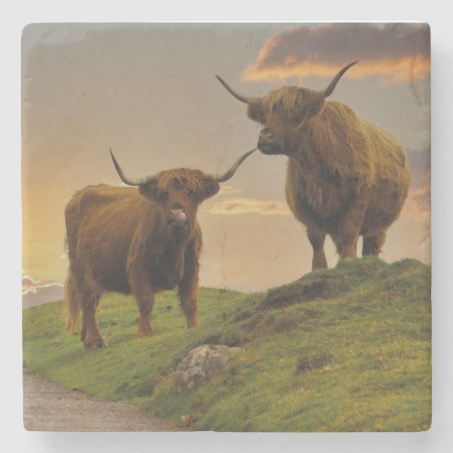 Highland Cows At Sunset Stone Coaster (Front)