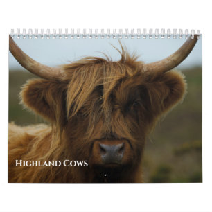 Highland Cows Calendar