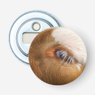 Highland Cow's Eye Bottle Opener