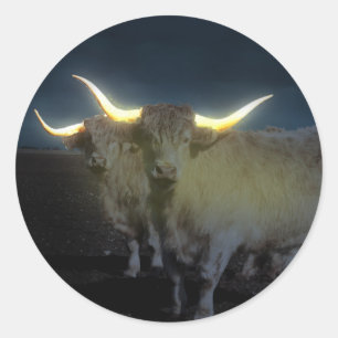 Highland Cows Glowing In The Dark, Round Stickers