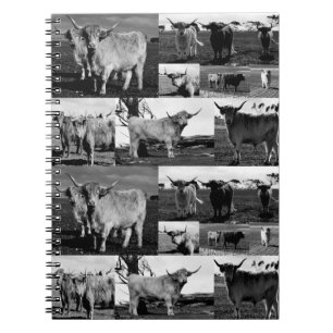 Highland Cows In Black White Photo Collage, Notebook