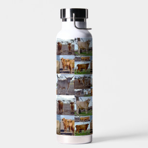 Highland Glory: A Photo Collage of Majestic Cows Water Bottle