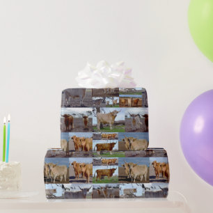 Highland Glory: A Photo Collage of Majestic Cows Wrapping Paper