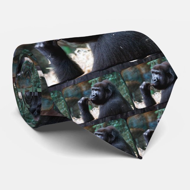 Highland Gorilla - Picking Teeth Tie (Rolled)