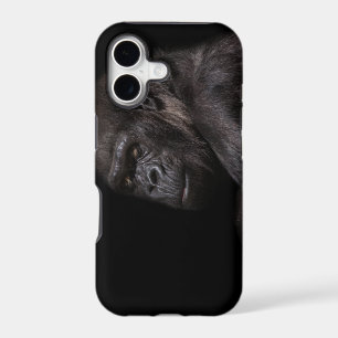 Highland Gorilla - Thinker