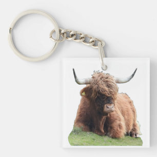 Highland "Moo" Cow  Key Ring