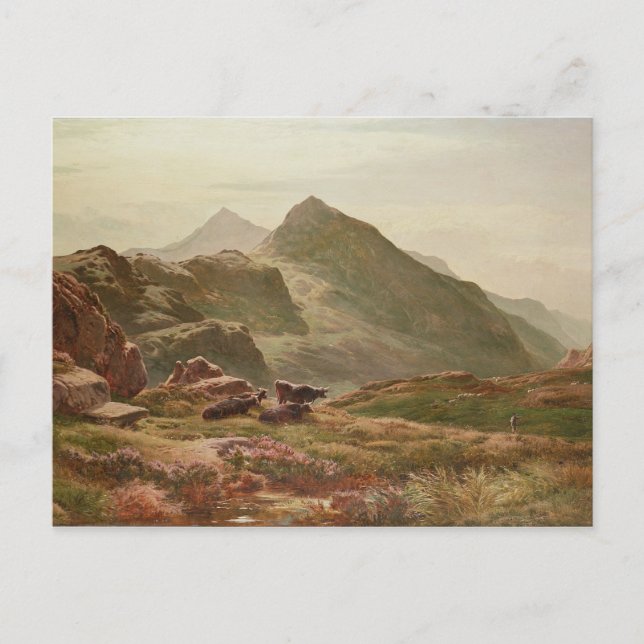 Highland scene postcard (Front)