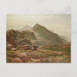Highland scene postcard