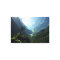 Highland Spring Wrapped Canvas