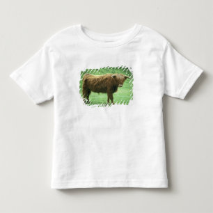 Highland Steer, Island of Mull, Inner Toddler T-Shirt