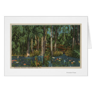 Highlands County, FL - View of Highlands Hammock