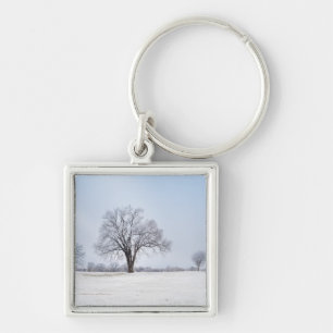 Highlighted Winter Oak Tree Key Ring