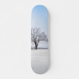 Highlighted Winter Oak Tree Skateboard