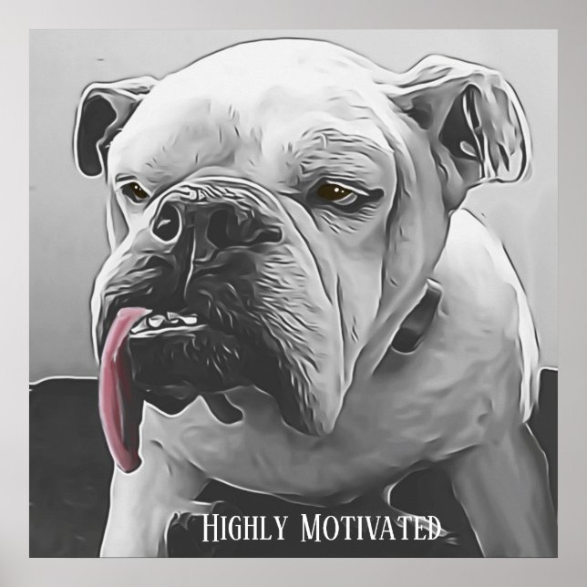Highly motivated stylized grumpy bulldog poster (Front)