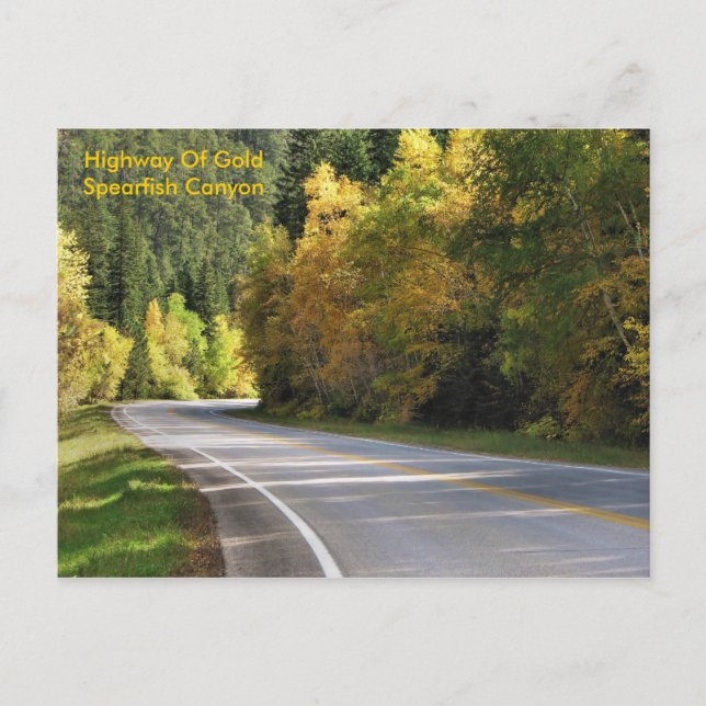 Highway Of Gold                  ... Postcard (Front)