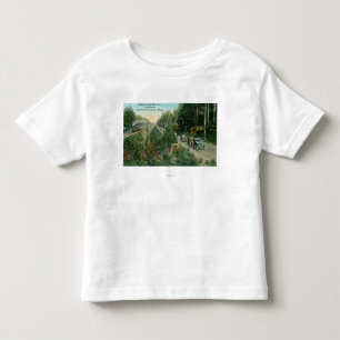 Highway Scene near American Lake Toddler T-Shirt