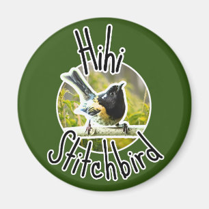 Hihi bird - endangered nz stictchbird magnet
