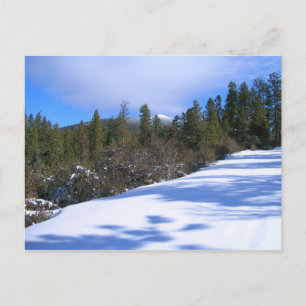 Hike to Hager Mountain Fire Lookout Postcard