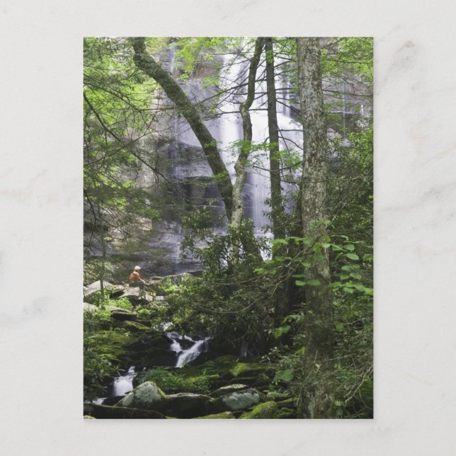 Hiker admires Falls Branch Falls Postcard (Front)