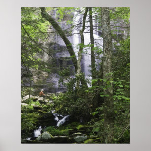 Hiker admires Falls Branch Falls Poster