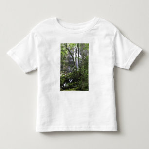 Hiker admires Falls Branch Falls Toddler T-Shirt