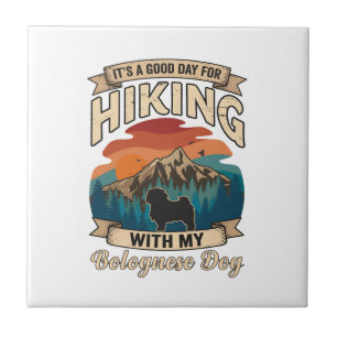 Hiking Bolognese Dog Mountains Sunset Ceramic Tile