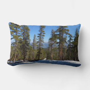 Hiking Down from Mitchell Peak at Sequoia Lumbar Cushion
