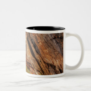 Hiking The Emerald Pools Trail in Zion National Two-Tone Coffee Mug