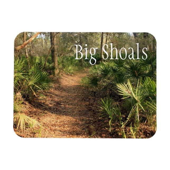 Hiking Trail, Big Shoals State Park, Florida Magnet (Horizontal)
