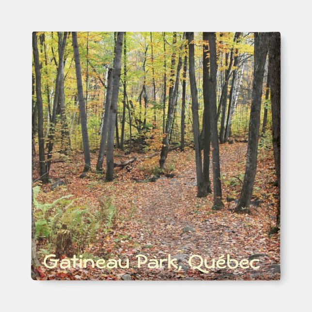 Hiking Trail in Autumn, Gatineau Park, Quebec. Magnet (Front)