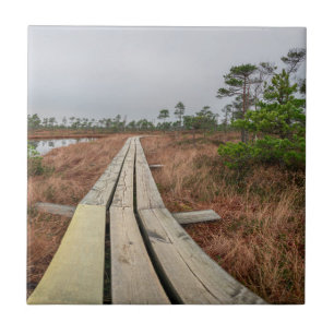 Hiking trail in swamp ceramic tile