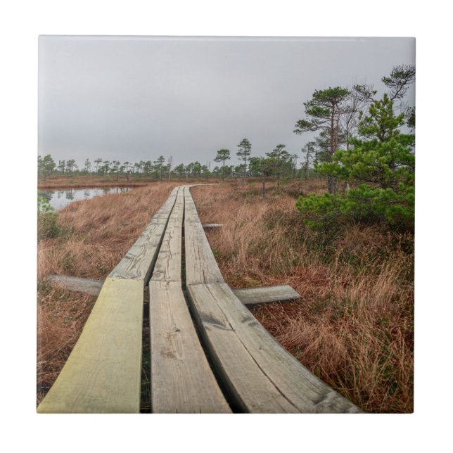 Hiking trail in swamp ceramic tile (Front)