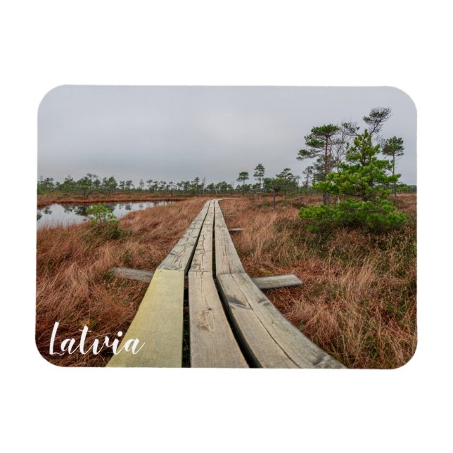 Hiking trail in swamp magnet (Horizontal)