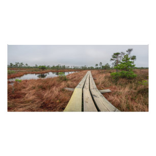 Hiking trail in swamp photo print