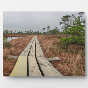 Hiking trail in swamp plaque