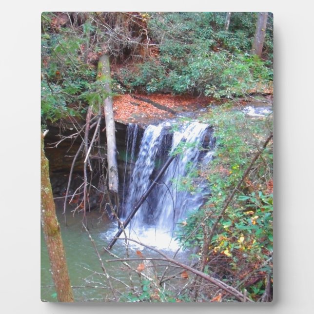 Hiking Trail Waterfall Plaque (Front)