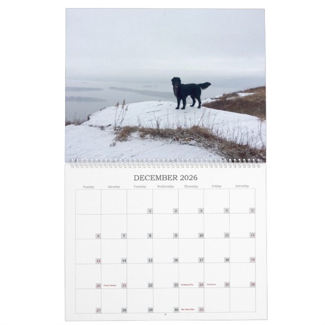 Hiking With Hazel 2022 Calendar (Dec 2026)