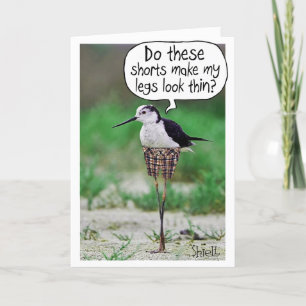 HILARIOUS BIRTHDAY CARD - BIRD SHORTS