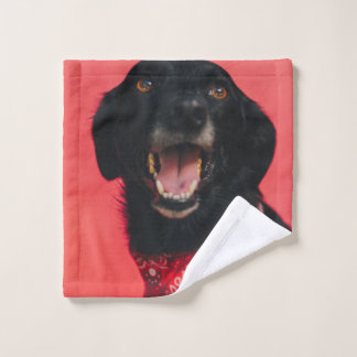 Hilarious Black Lab on Red Background Smile Wash Cloth