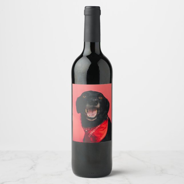 Hilarious Black Lab on Red Background Smile Wine Label (Front)